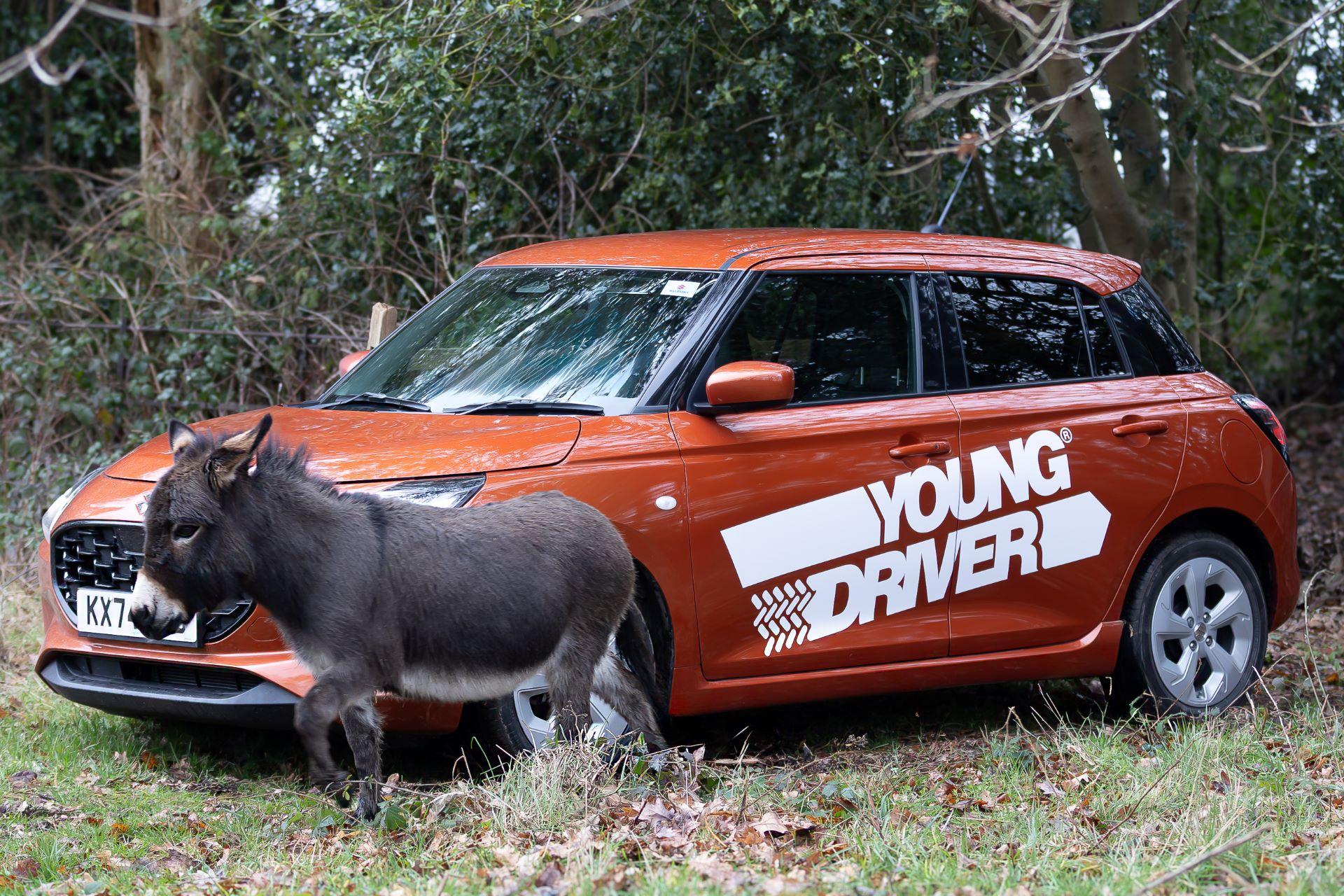 Youngdrivergreenerdrivingtipsforenvironmentday 2