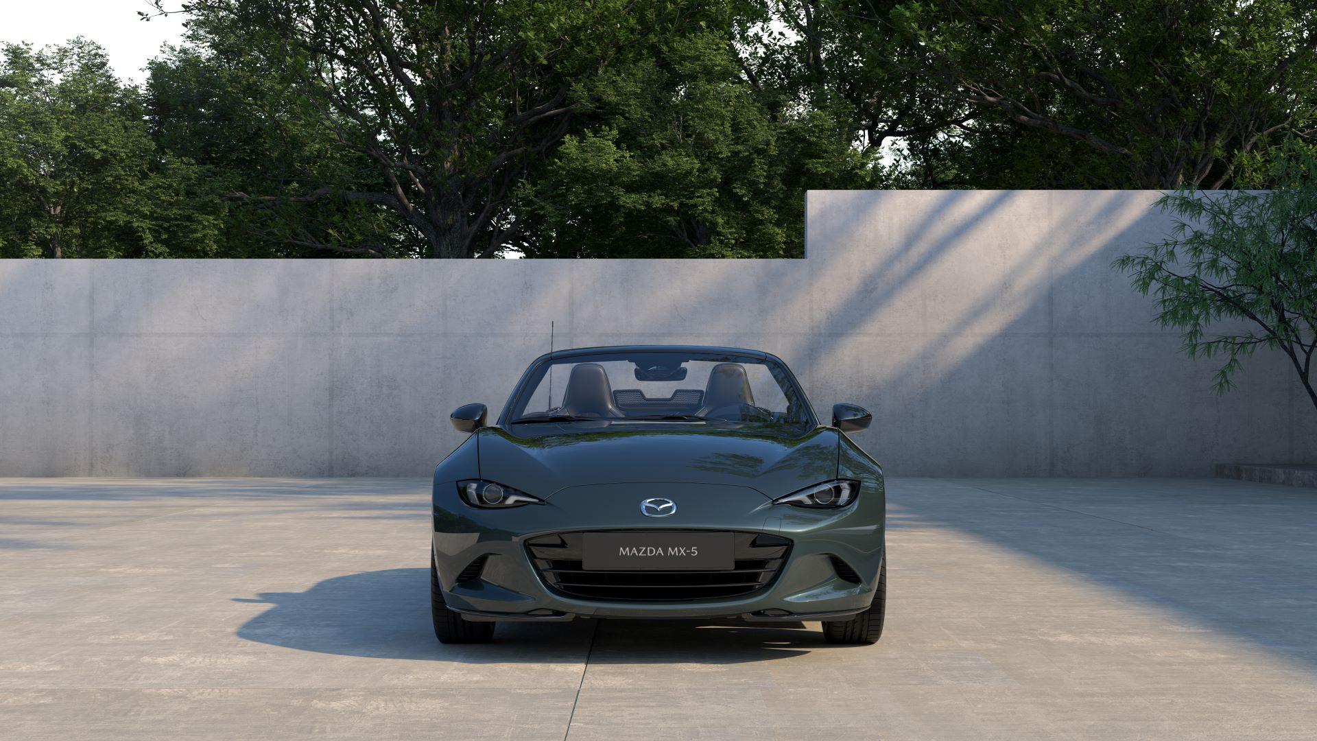 Zincgreenmetallicdebutsasmazdasnewsignatureshade