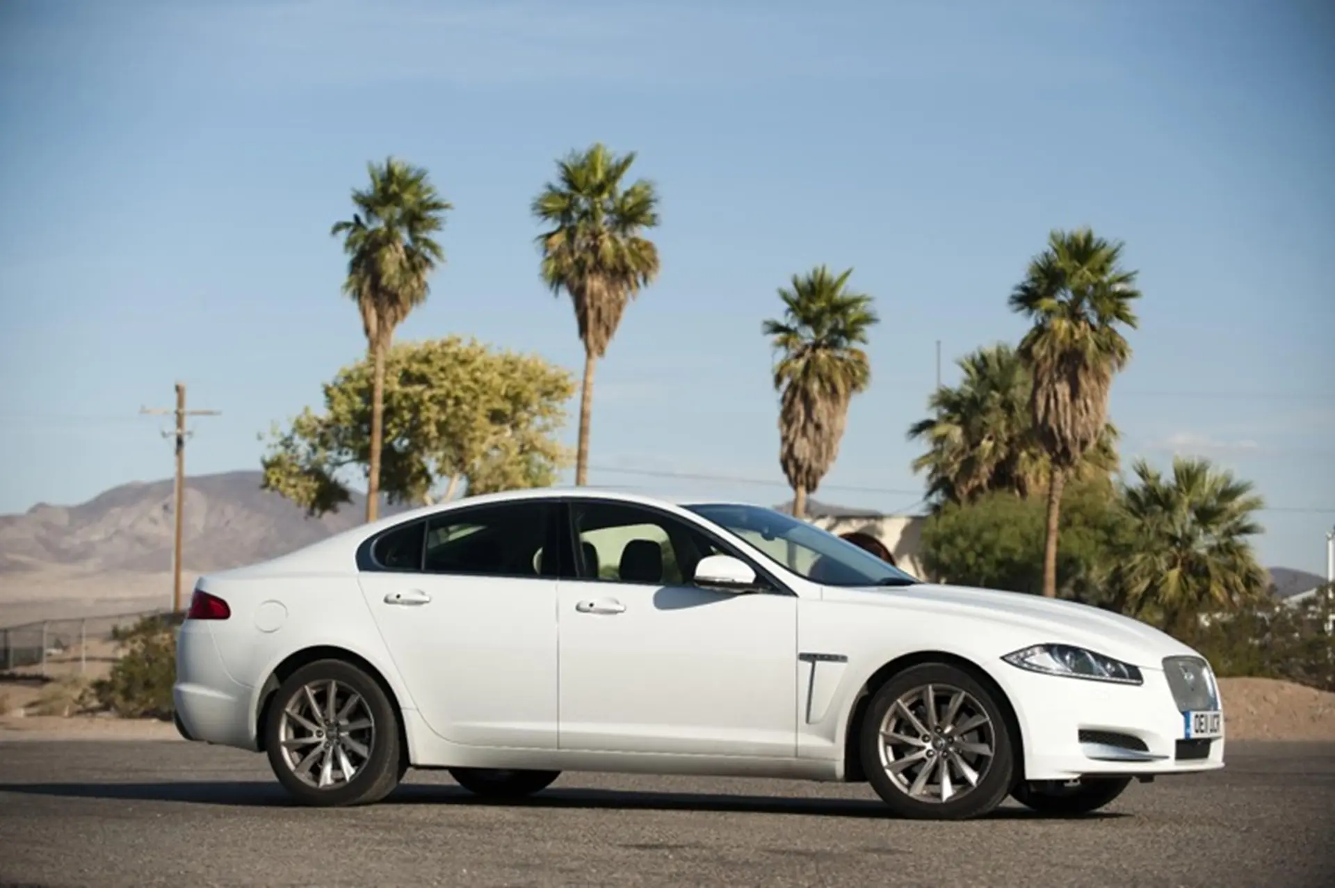 Jaguar Epic Journey