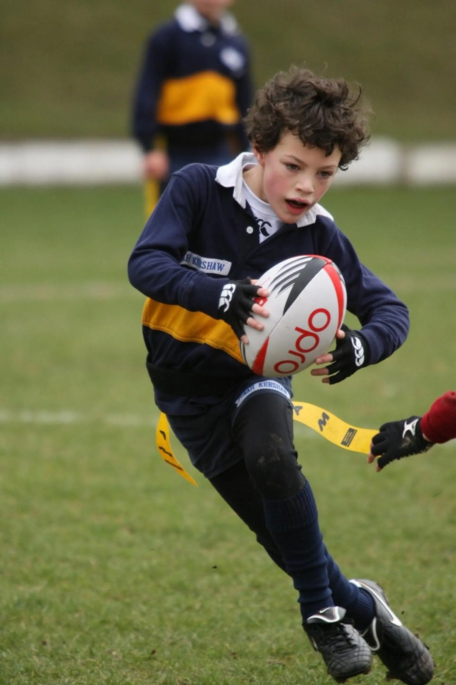 Lexus Rugby