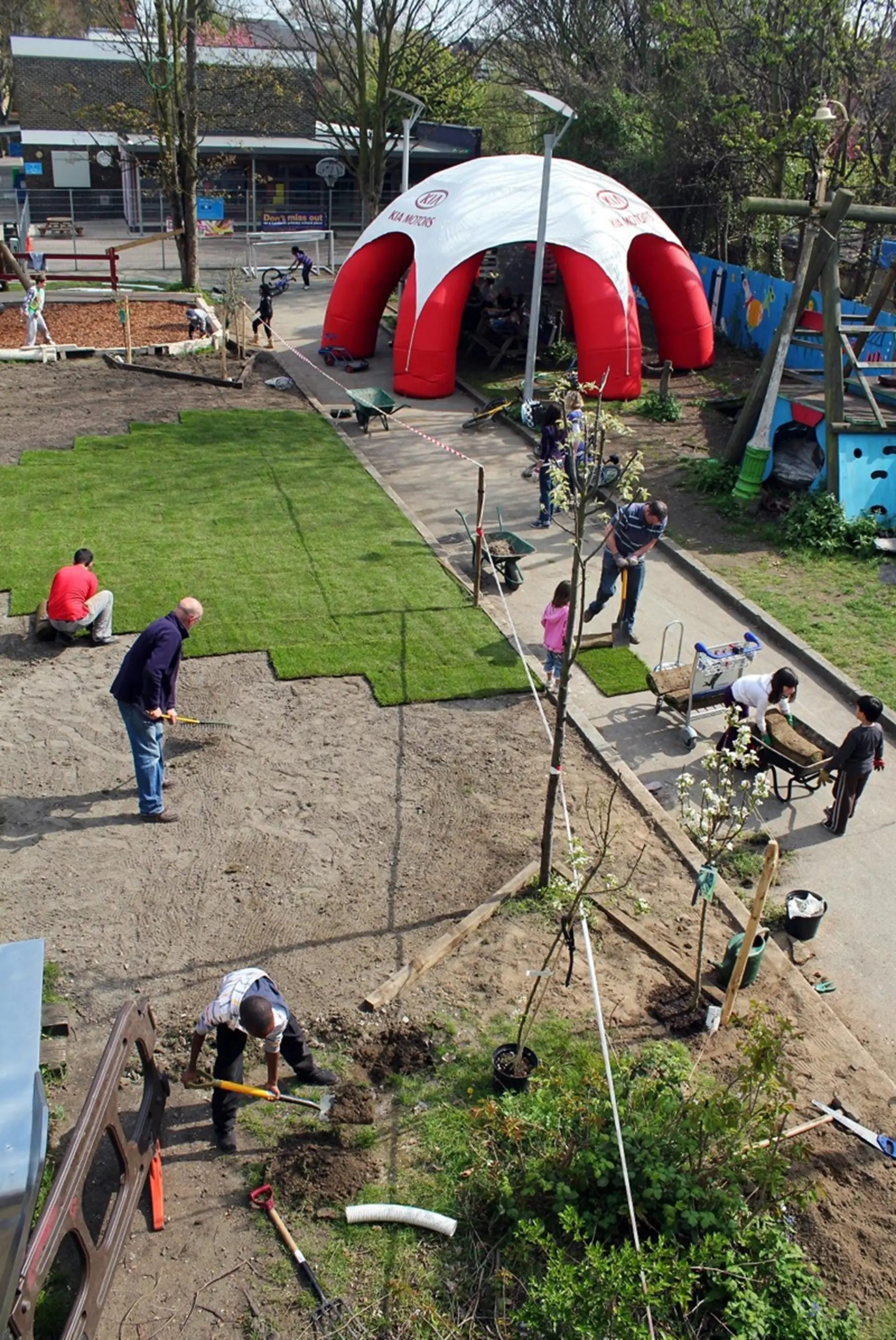 KIA MOTORS AND TREES FOR CITIES