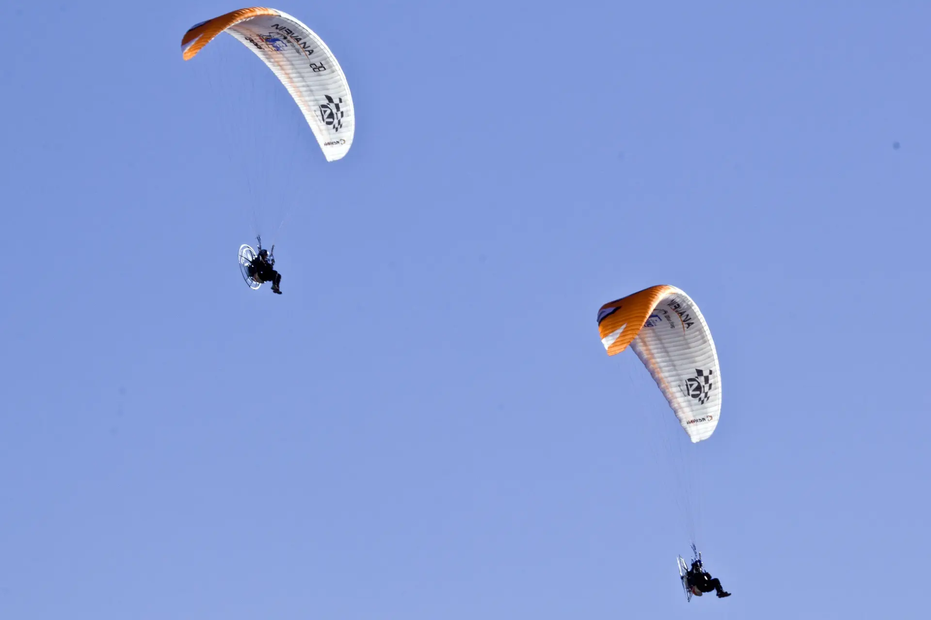 Paragliding at the Airshow