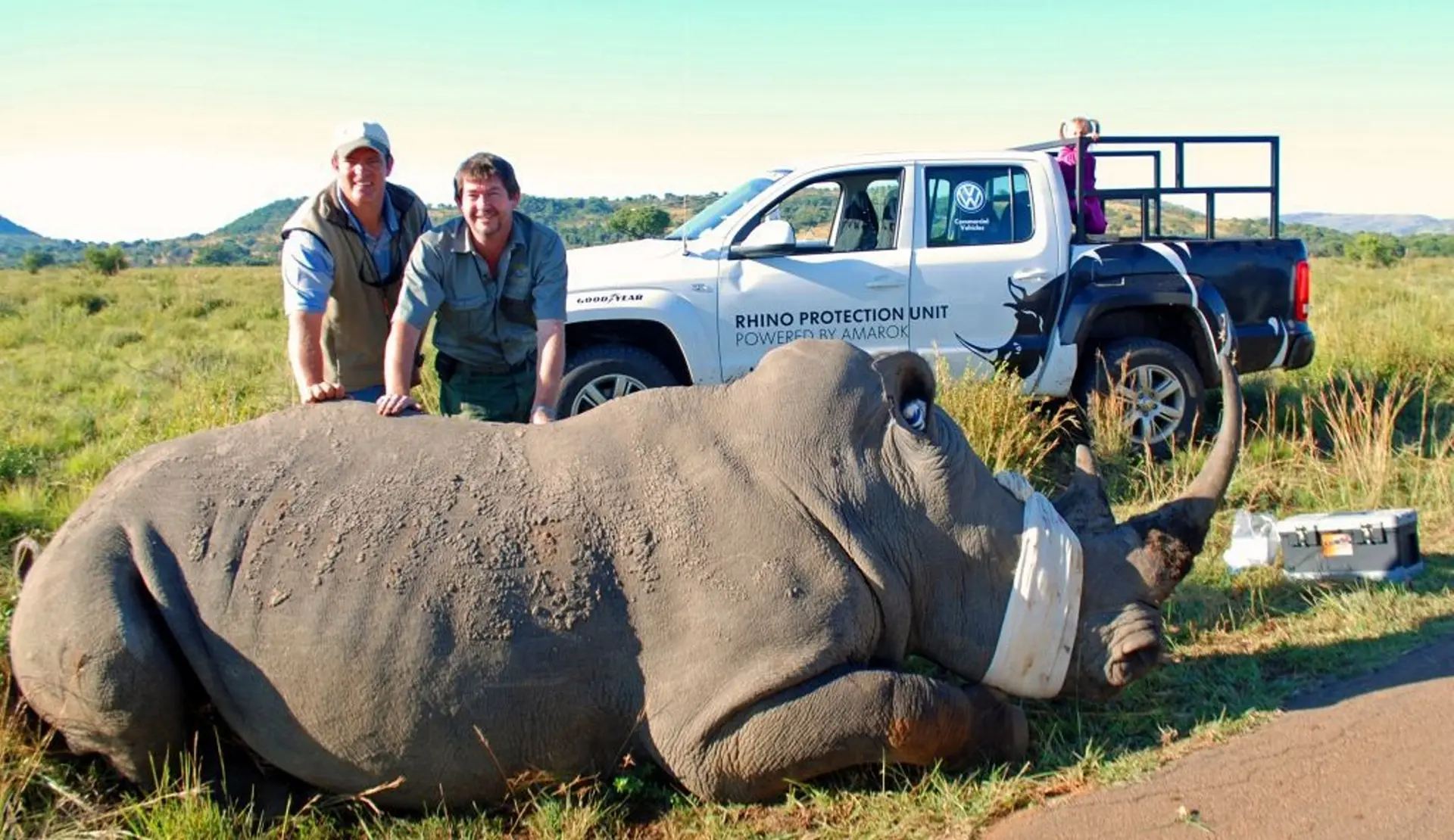 Volkswagen Rhino Protection