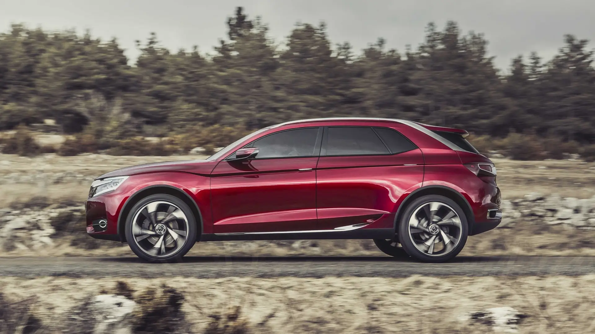 Citroen Wild Rubis