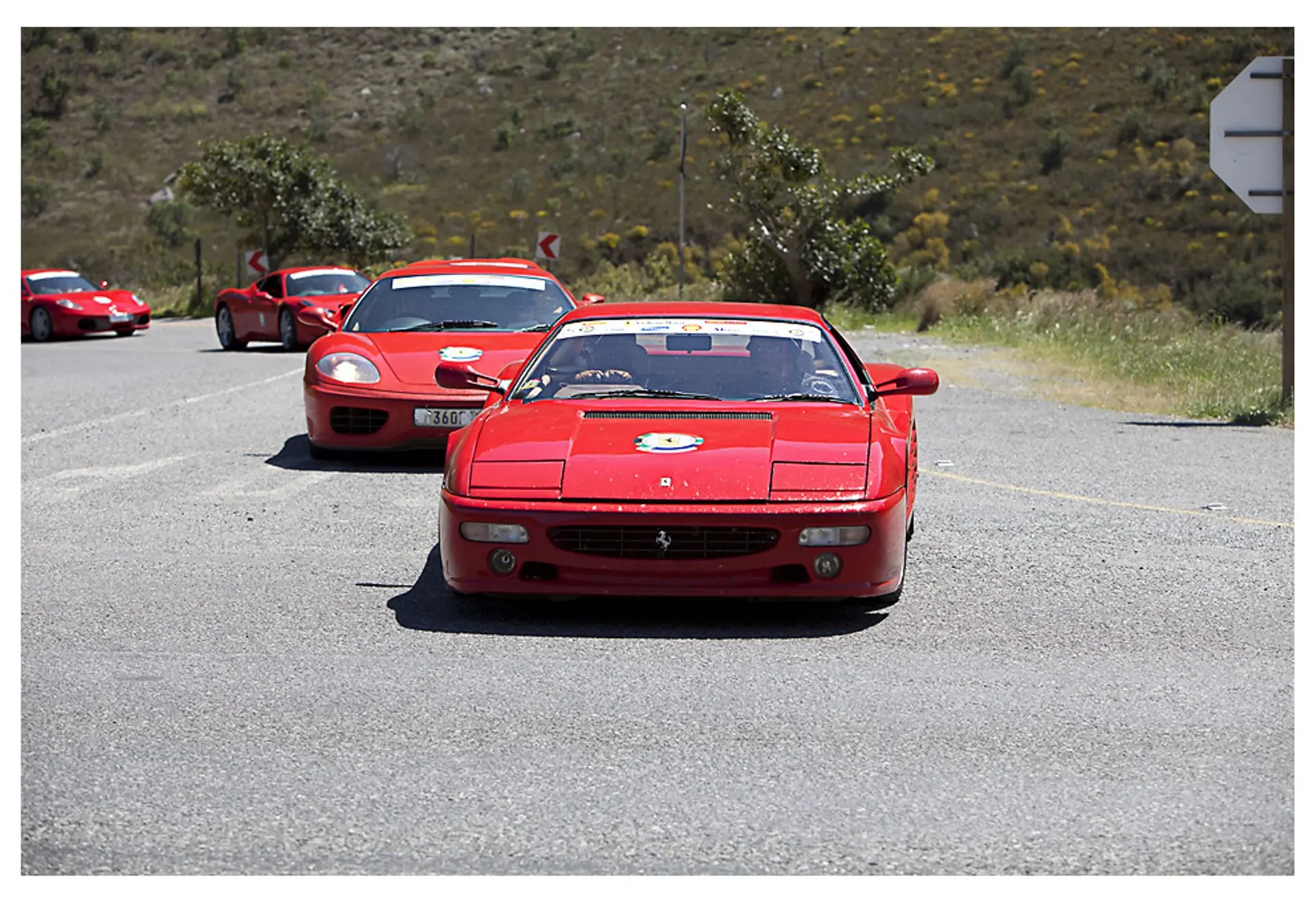 Ferrari South Africa