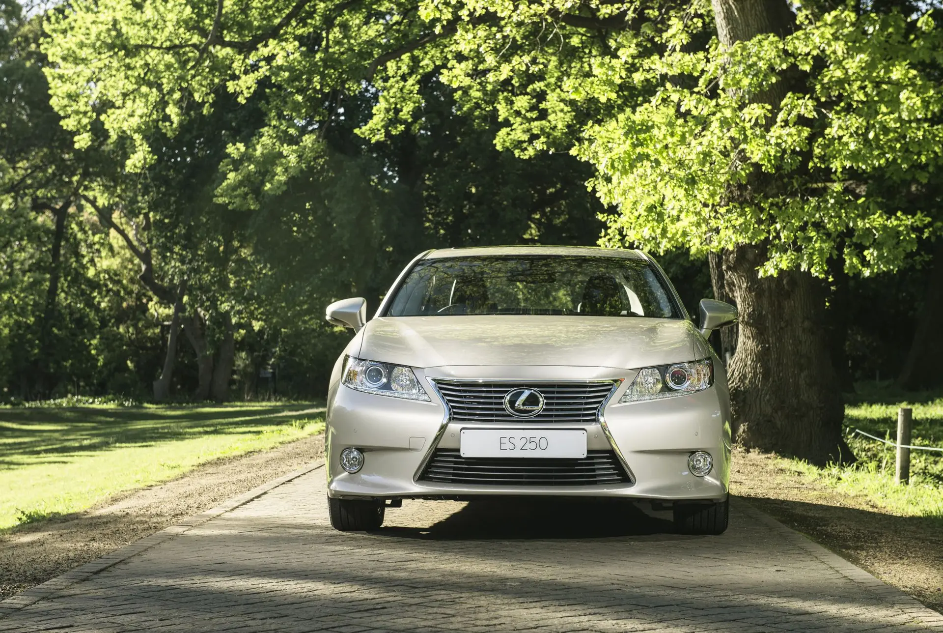 Johannesburg Motor Show Lexus