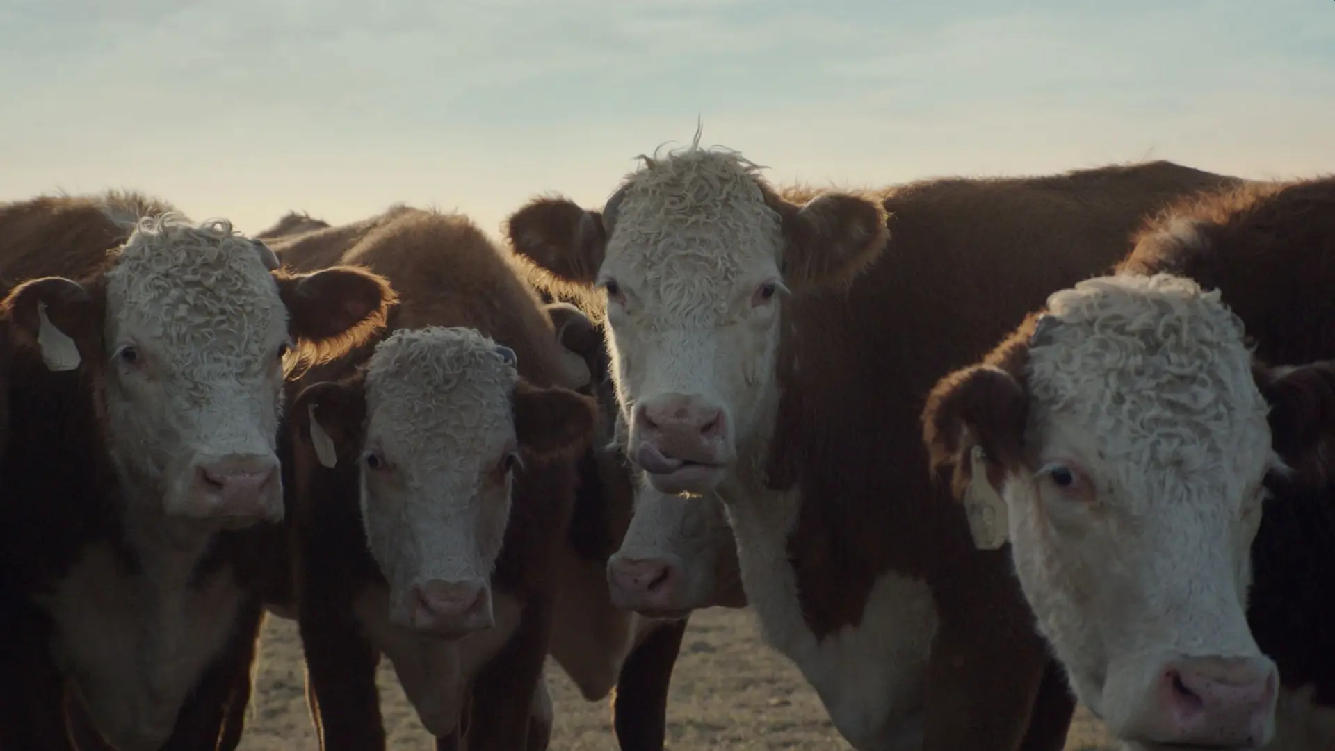 Super_Bowl_2014_Commercials