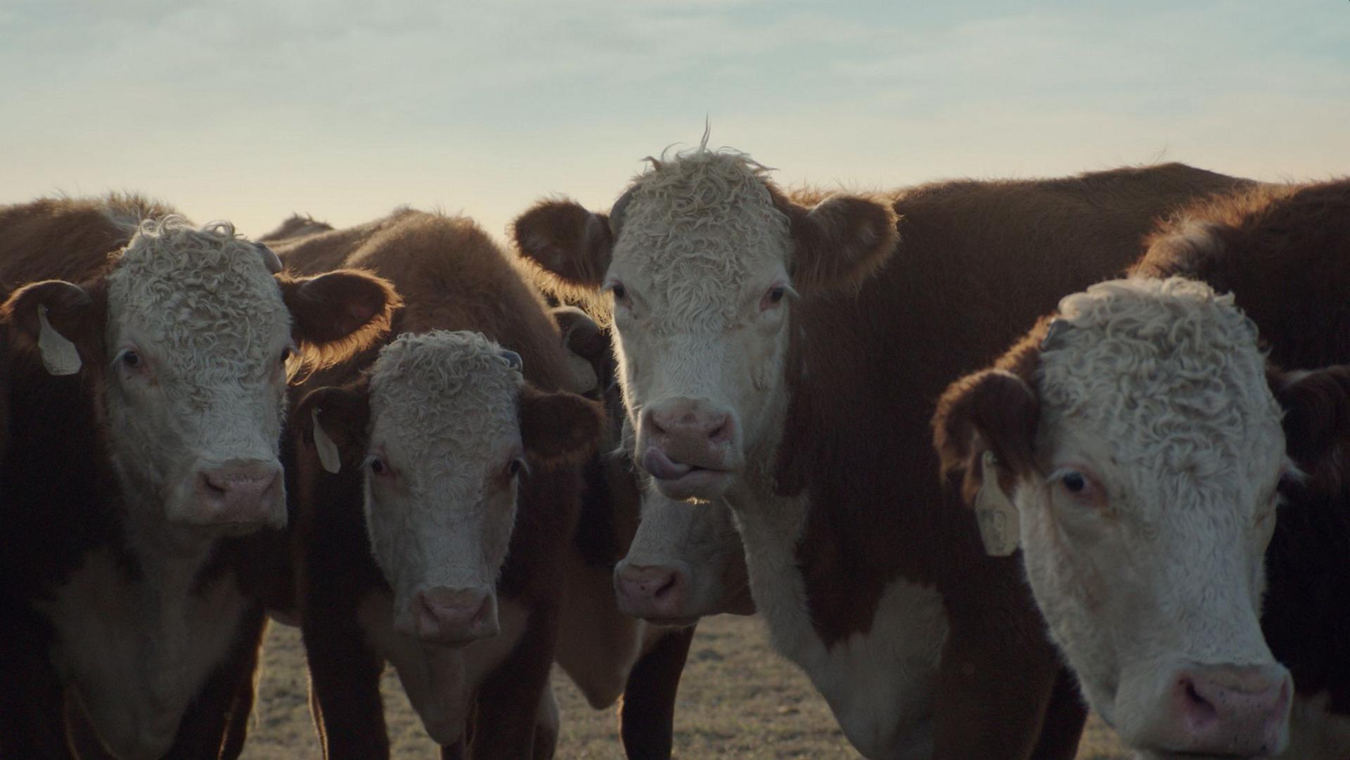 Super Bowl 2014 Ads – Chevrolet Motor Company Advertisement