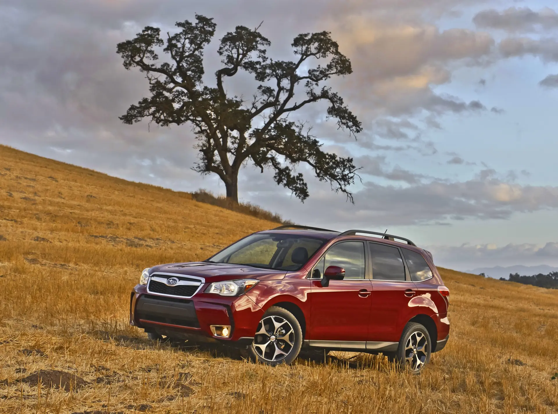 How_much_does_a_Subaru_Forester_Cost