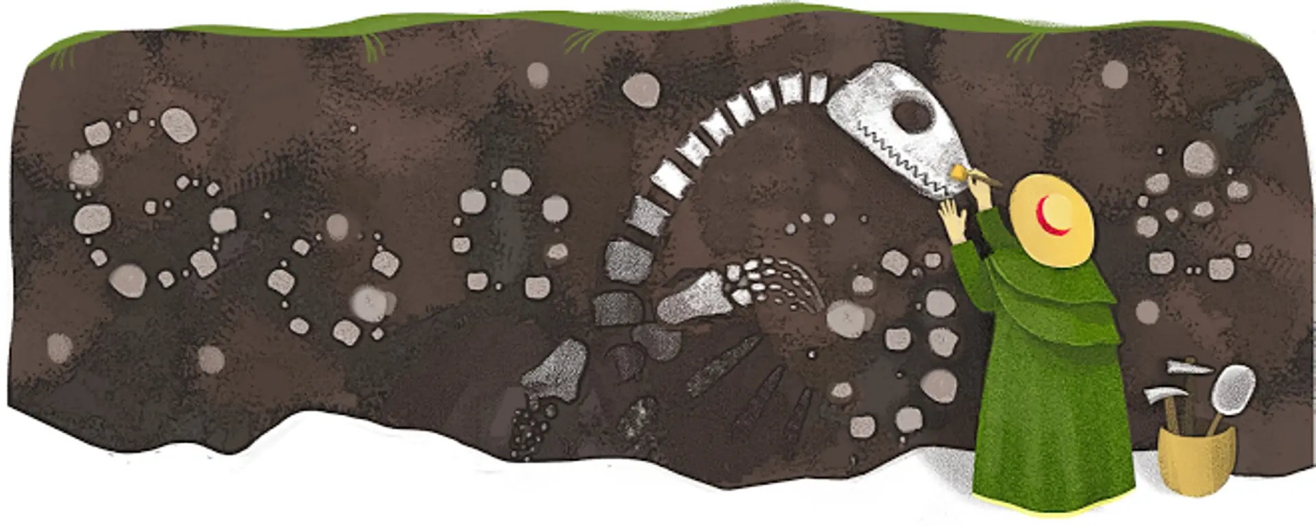 Mary Anning Fossils