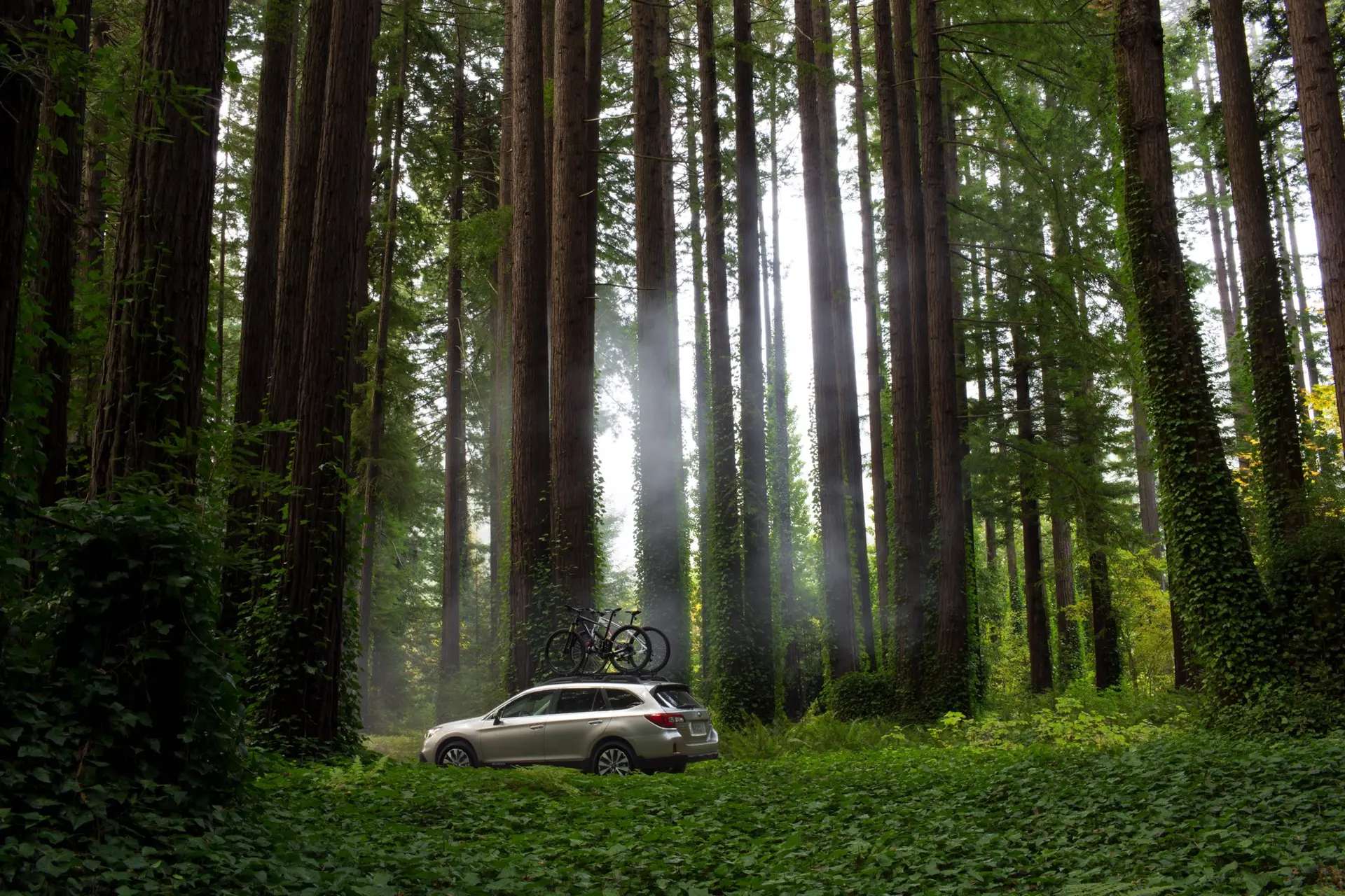New-Subaru-Outback