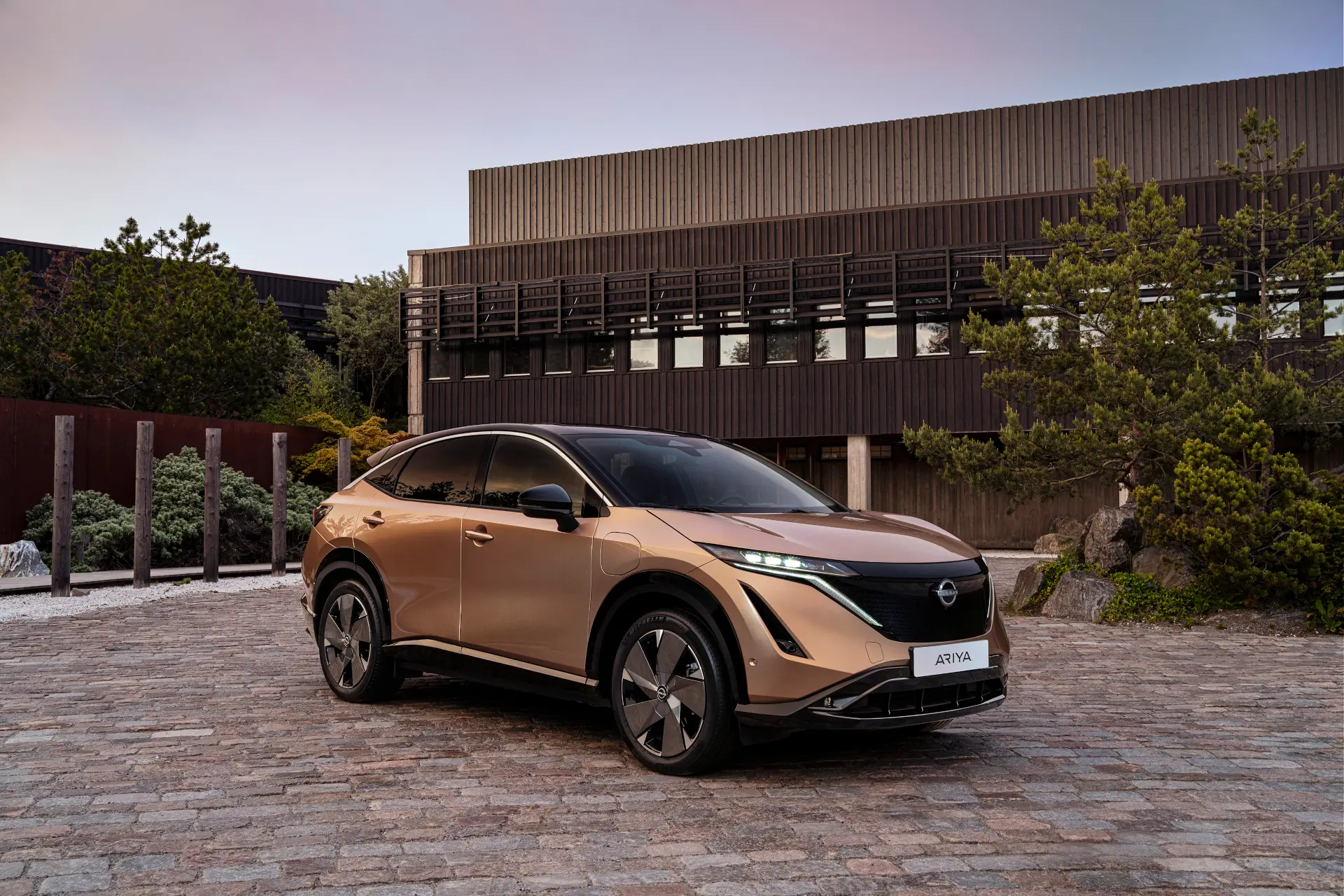 Fully Electric Nissan Ariya Side