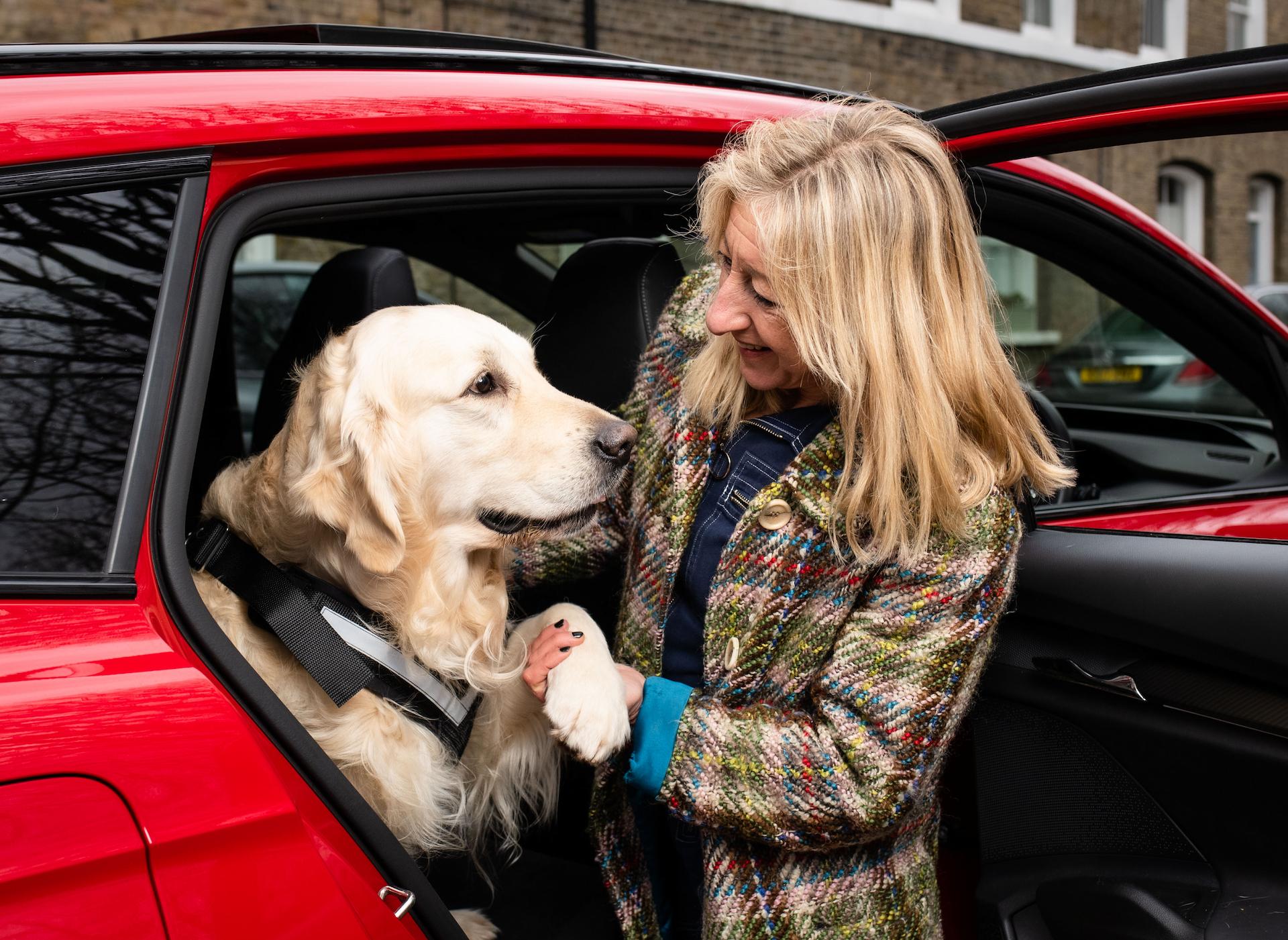 Keep your canines cool in the car as temperatures soar