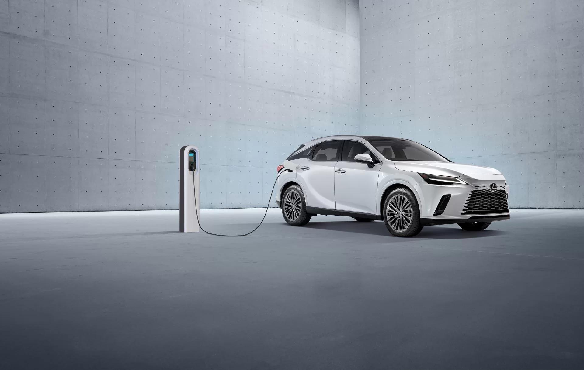 Lexus Honors Excellence at RMB Latitudes Art Fair with Best Stand Trophy