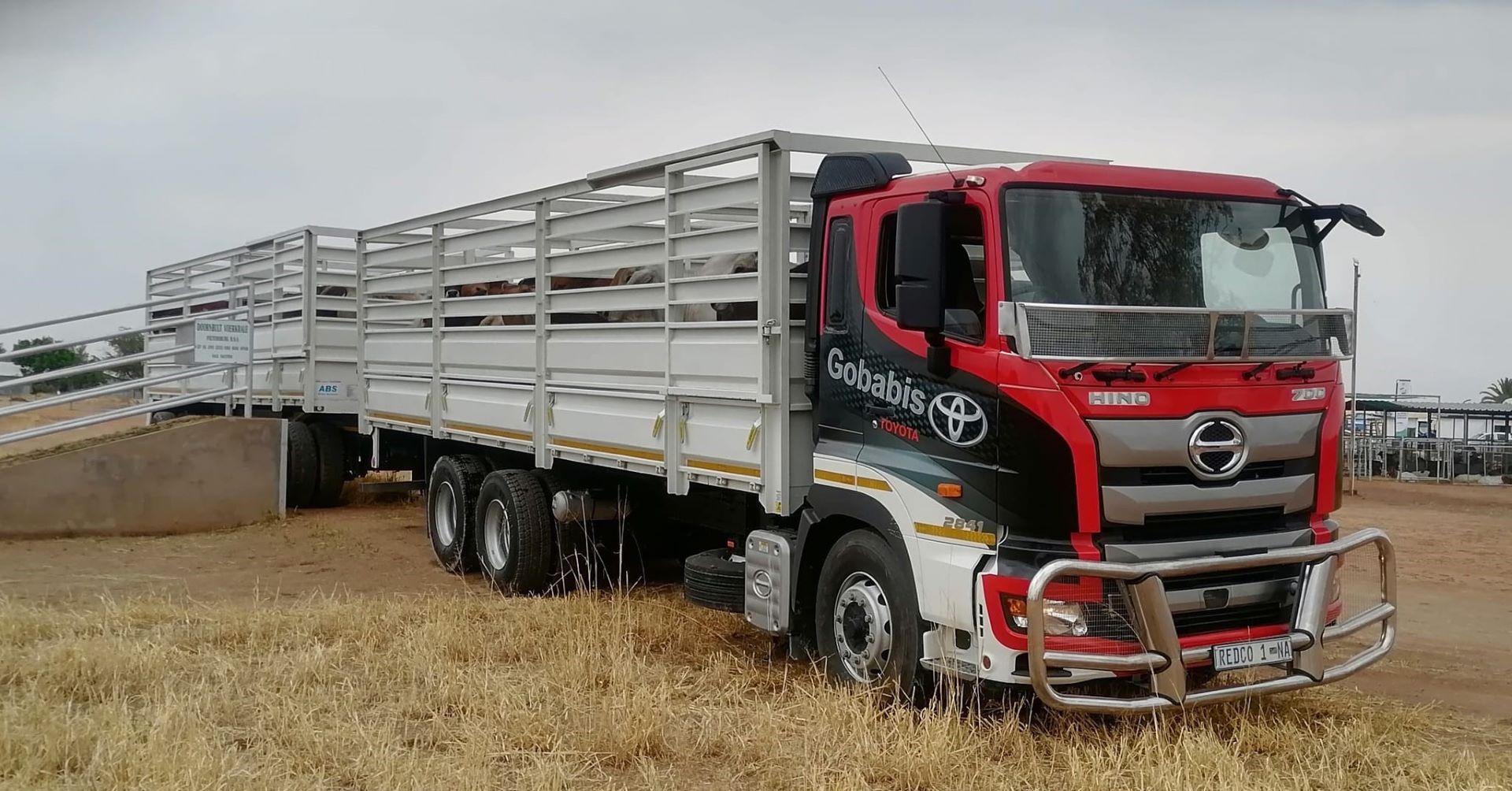 Hino 700: Transforming Namibia’s Cattle Transport Landscape