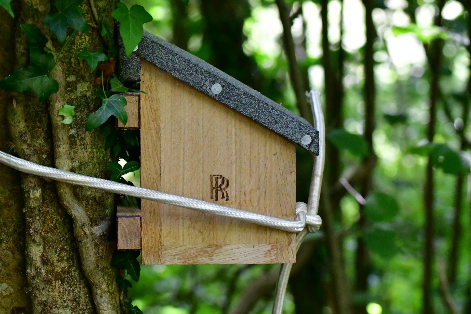 Rolls-Royce Apprentices Lend a Hand in Conservation of Rare Hazel Dormice