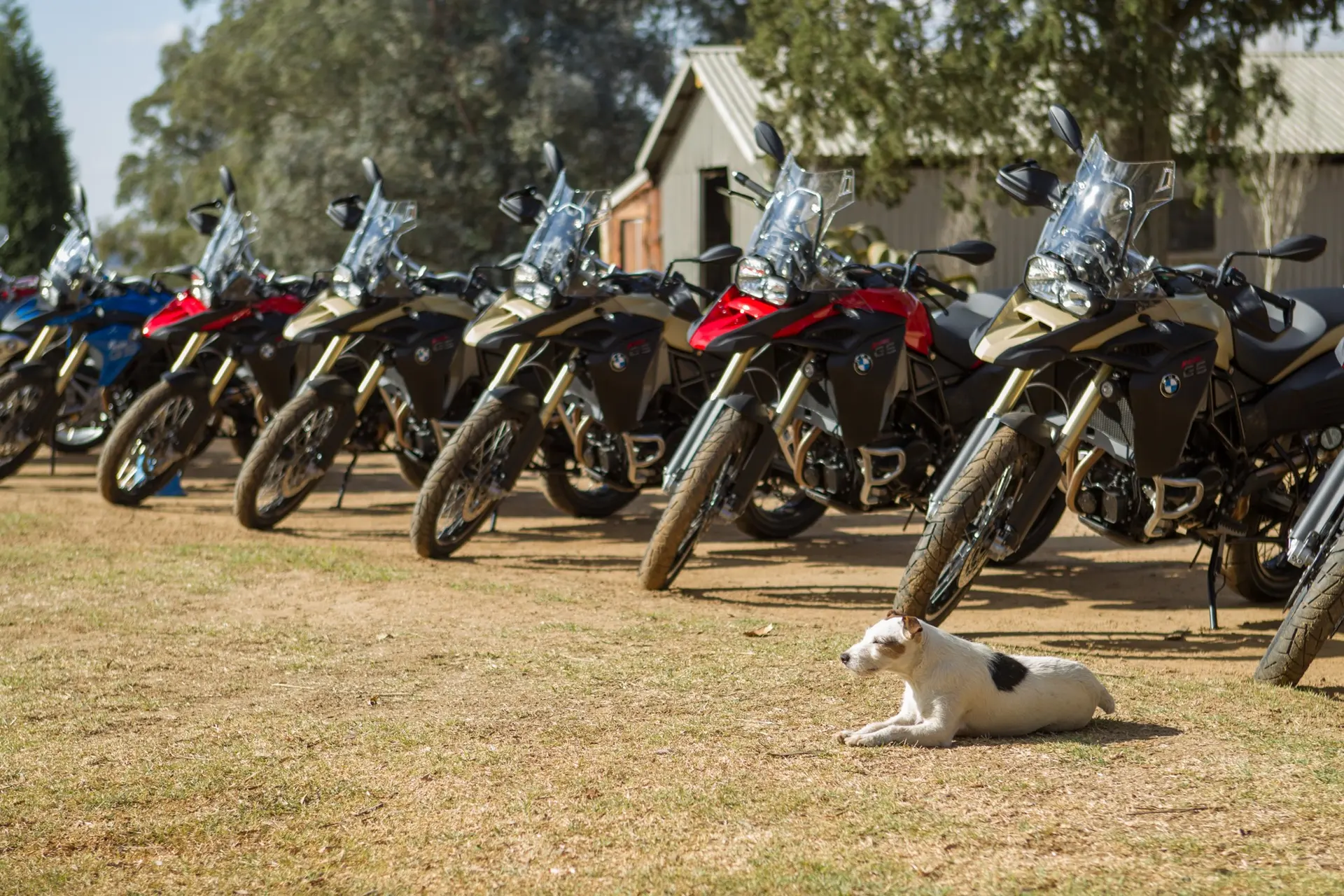 BMW F 800 GS