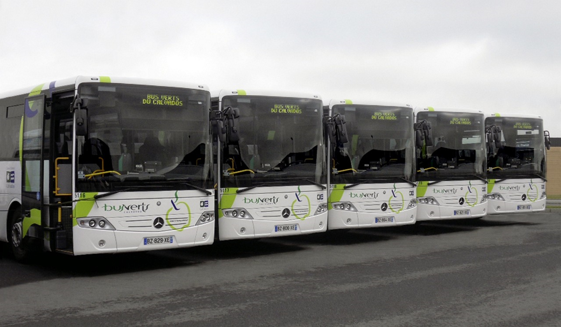 Brazilian government school buses