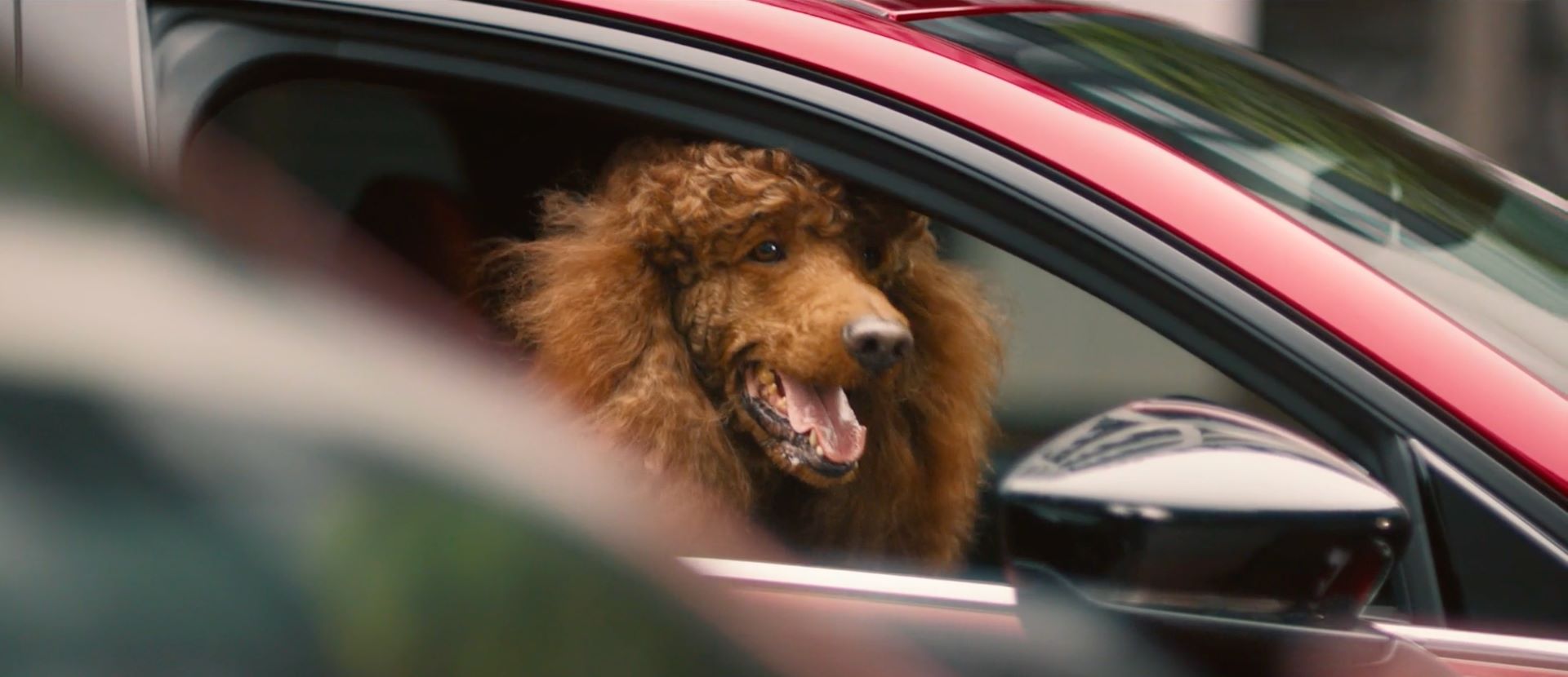 Discover The Extraordinary In The Everyday Mazdas Wonderrrr Awaits Campaign