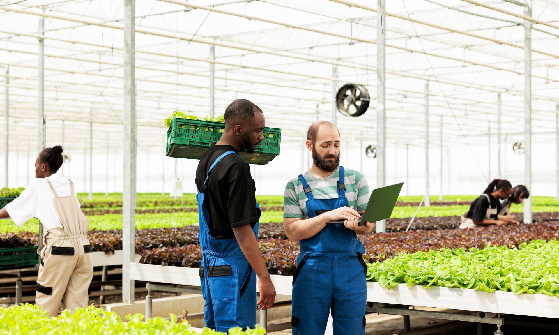 Mechanisation And Precision Agriculture The Key To A Sustainable Future For South African Farming