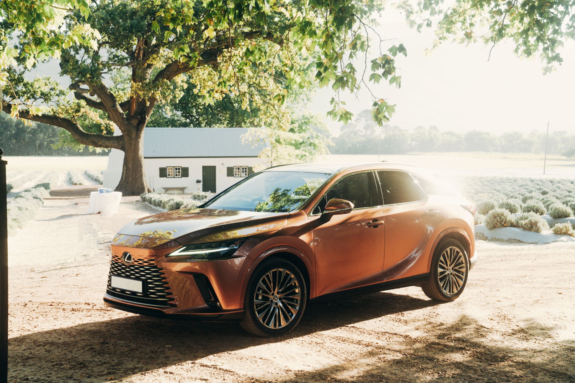 Lexus South Africa Welcomes Michelin Star Chef Jan Hendrik Van Der Westhuizen As New Brand Ambassador