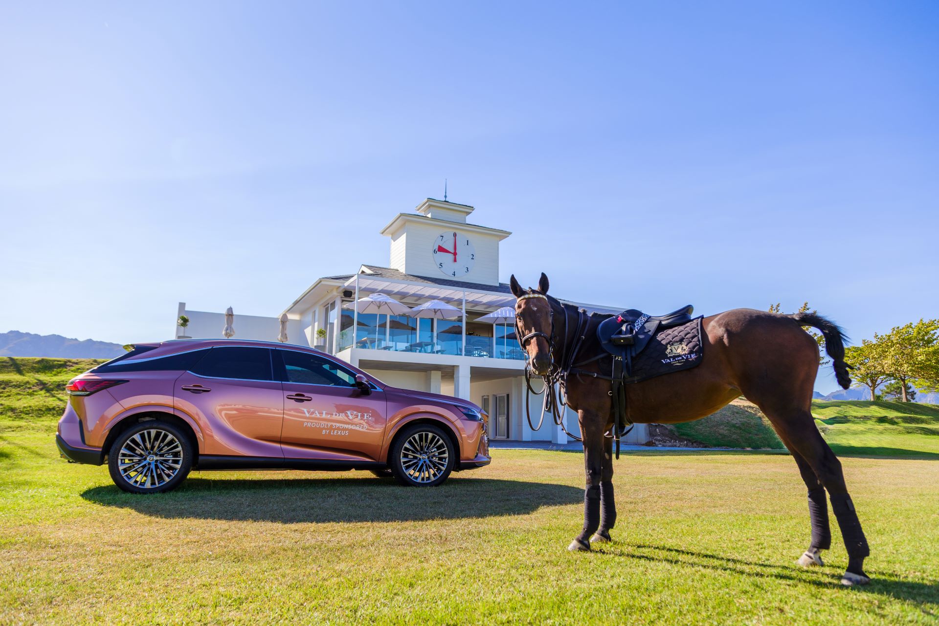 Lexus South Africa Partners With Val De Vie Estate For 2025 Pink Polo In Support Of Cansa