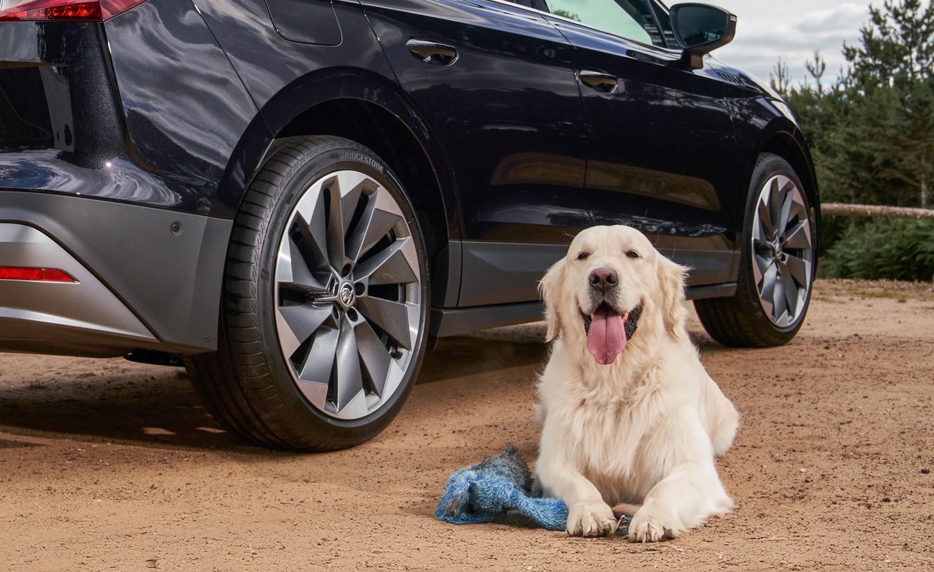 Skoda Enyaq Crowned Best Car For Dogs In Sutotrader Drivers Choice Awards 2025