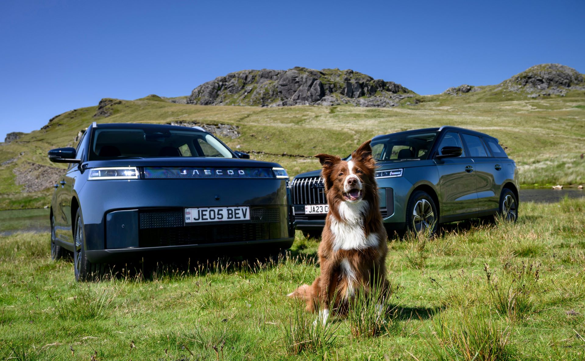 Jaecoo Uk Brings Pet Friendly Suvs To London Pet Show Live 2025