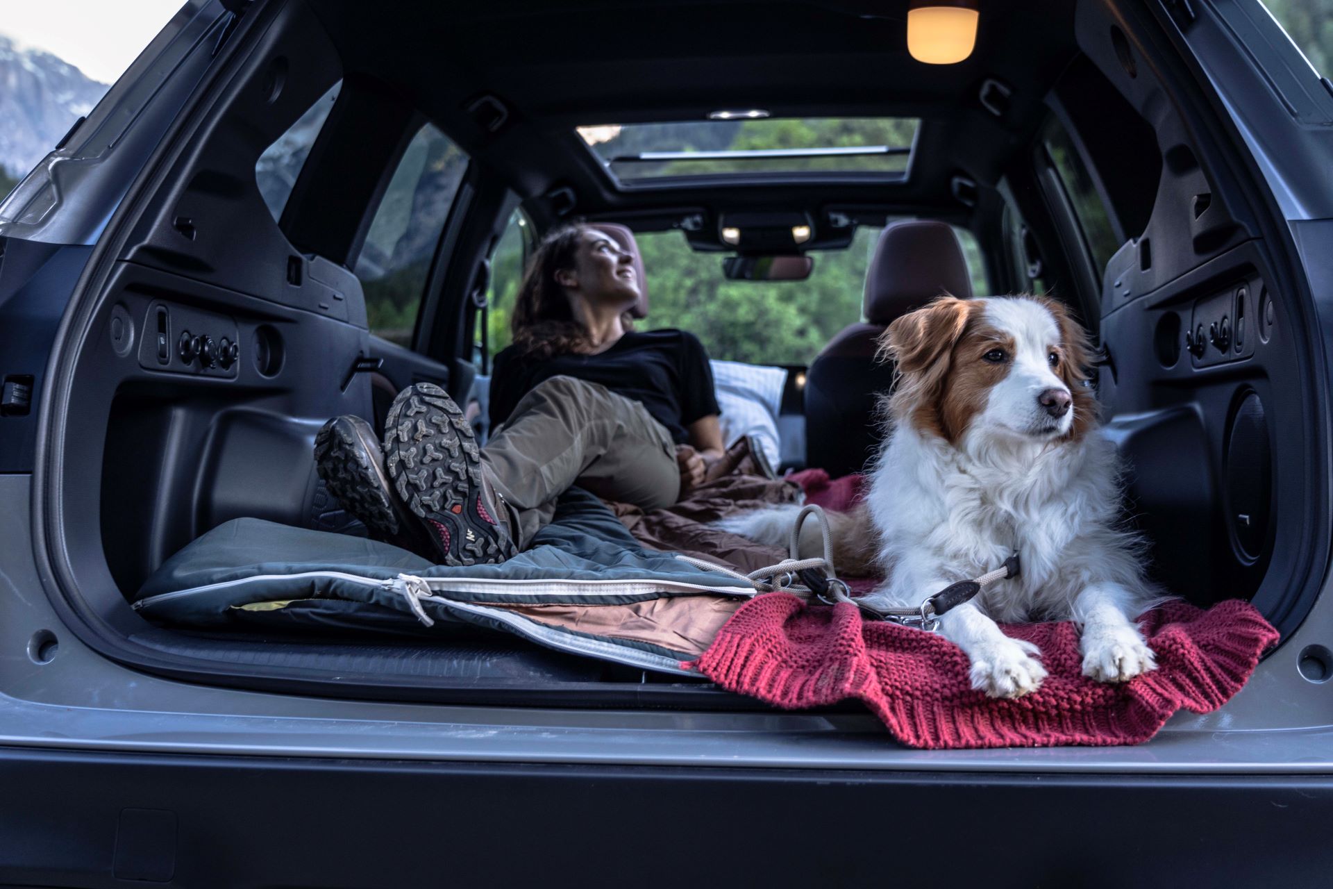 Subaru Partners With Bbc Countryfile Magazine To Mcelebrate The Nations Most Extraordinary Dogs