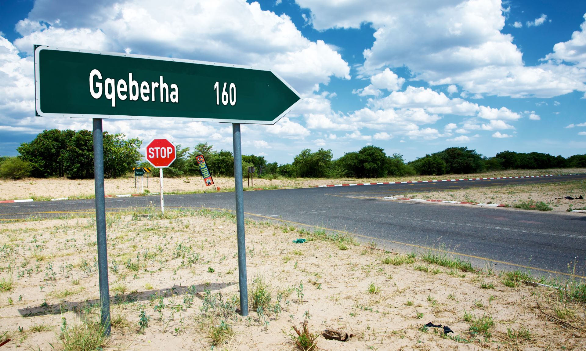 Driving The Future Wesbank And Naamsa Put New Energy Vehicles To The Ultimate South African Test