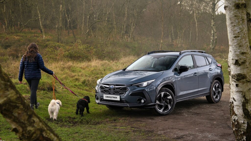 Subaru uk lets dog owners test drive cars with their four legged friends